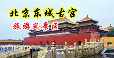 艹美女软件中国北京-东城古宫旅游风景区